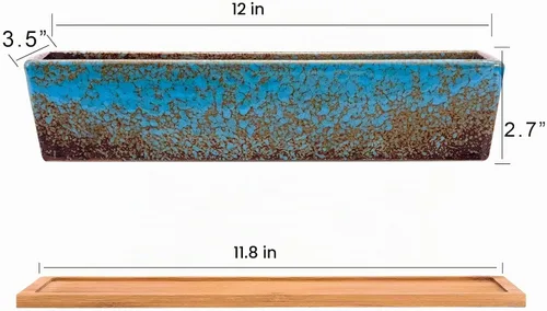 Vista 3 de ARTKETTY Macetas de suculentas - Macetas grandes para suculentas con drenaje, maceta de bonsái rectangular larga de 12 pulgadas con bandeja de Azul