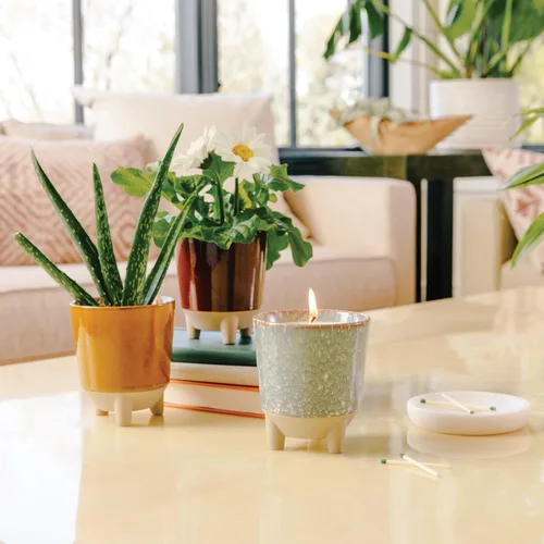 Vista 2 de Modern Sprout Kit Glow and Grow – Vela perfumada 2 en 1 que se convierte en una planta de albahaca – Vela de soja de 12 onzas con 78 horas de tiempo
