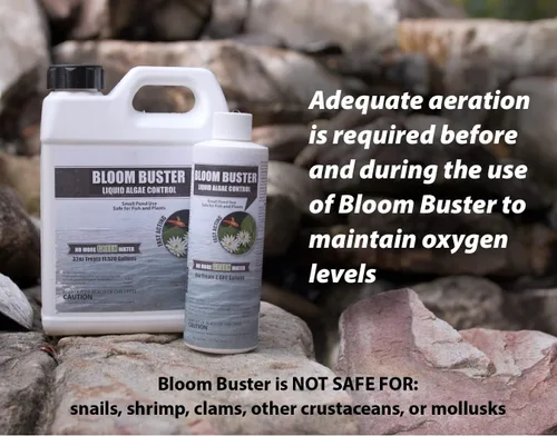 Vista 7 de Bloom Buster Pond Control de algas – 16 oz – Algicida de acción rápida, uso en fuentes y estanques al aire libre que contienen koi y otros peces
