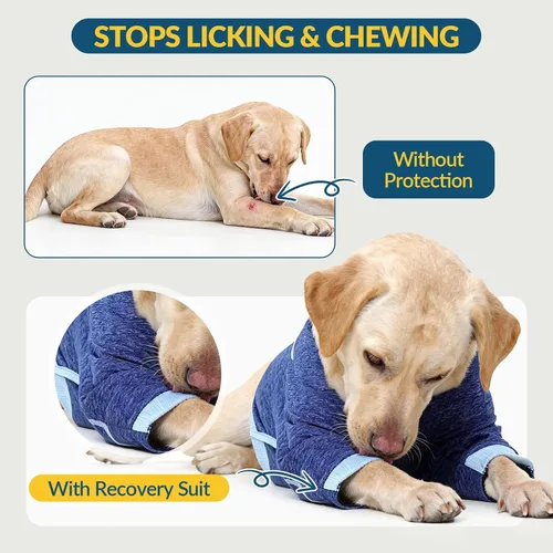 Vista 4 de ROZKITCH Funda para perro de pierna delantera para pierna delantera, protector de rodilla para evitar lamer heridas, codo, traje de recuperación