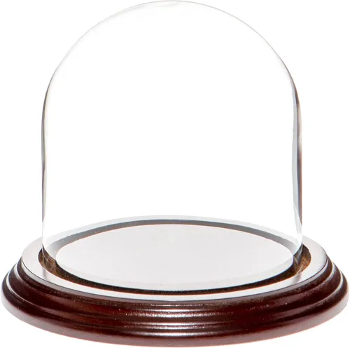 Vista 5 de Plymor Cúpula de cristal de 4 x 4 pulgadas (base de madera MDF negra)