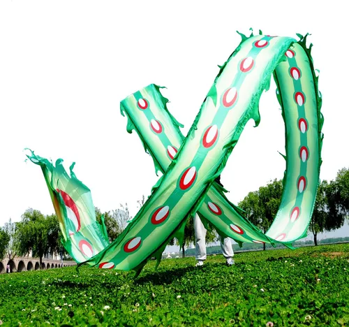 Vista 10 de Juego de Cintas de Dragón 3D Realistas para Ejercicio, Baile al Aire Libre, Lanzamiento de Fitness, Estilo Cuadrado POI Wu Long (5.97m, Fénix Azul)