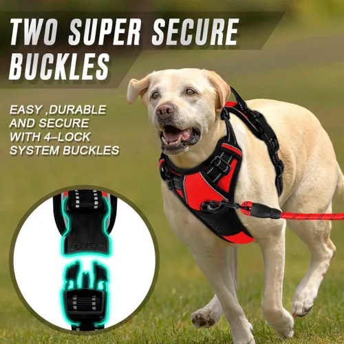 Vista 166 de BARKBAY - Arnés para perro sin tirones con clip frontal, material resistente y reflectante, asa de fácil control para pasear perros grandes