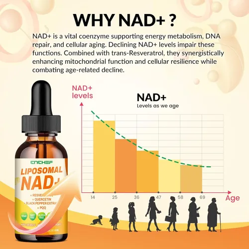 Vista 3 de Suplemento liposomal NAD – 1500 mg NAD+ gota líquida para mujeres y hombres nicotinamida adenina dinucleótido y complejo de resveratrol – Renovación
