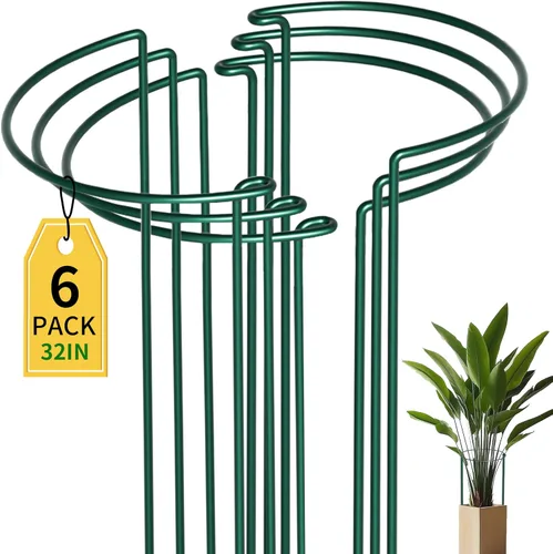 Vista 15 de TCBWFY Paquete de 10 estacas de soporte para plantas de peonía, 10 pulgadas de ancho x 16 pulgadas de alto, jaulas de peonía de alta resistencia