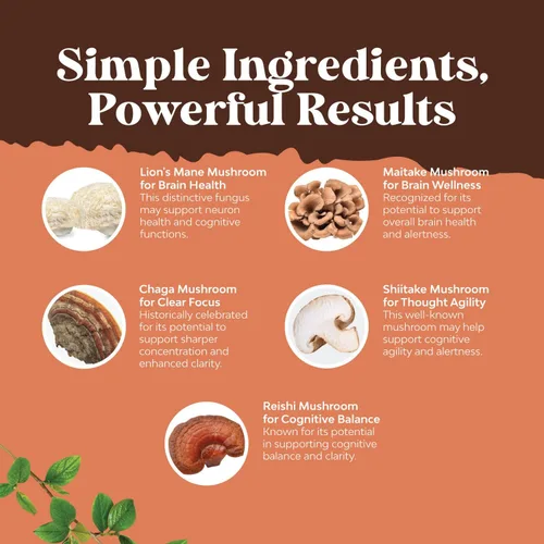 Vista 4 de Advanced Mushroom Complex Cápsulas – 10 cápsulas de suplemento de melena de león con Reishi, Chaga, Maitake y Shiitake para la salud cerebral apoyo