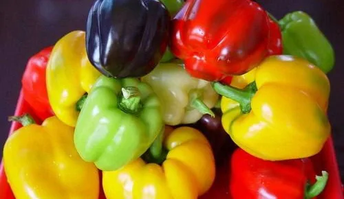 Vista 2 de Mezcla de semillas de pimiento dulce arcoíris para plantar alrededor de 40 semillas
