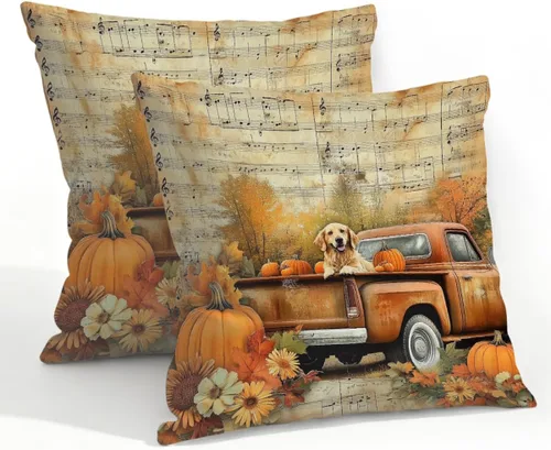 Vista 62 de Juego de 2 fundas de almohada impermeables para exteriores, 16 x 16 pulgadas, fundas de almohada decorativas de patio para muebles de jardín, sofá