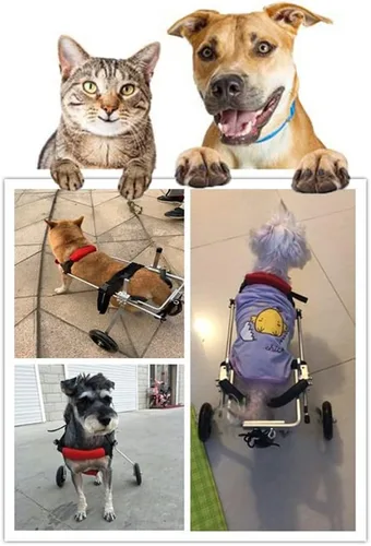 Vista 4 de Silla de ruedas para perros, ruedas ajustables para ejercicios de animales, silla de ruedas para mascotas para discapacitados, patas traseras