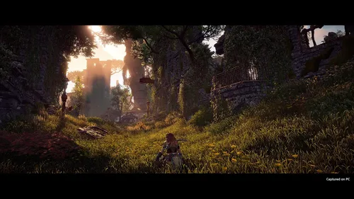 Vista 2 de Horizon Zero Dawn Complete Edition - PC Código de juego en línea