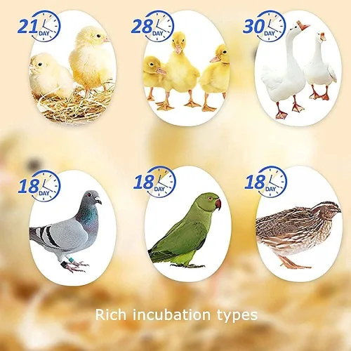 Vista 2 de Incubators Automatic Egg Incubator Poultry Hatching Machine Temperature Control Humidity Control for Hatching Chicks, Ducks, Quail 120pcs/layer(120
