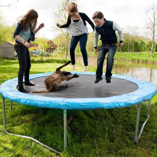 Vista 3 de AOTOB Trampoline Safety Pad,14ft 15ft Universal Replacement Trampoline Spring Cover, Edge Cover Springs Protection Pad, Exercise Play Comfortable