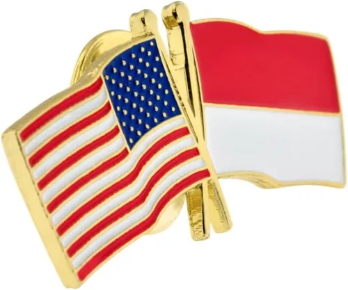 Vista 4 de PinMart Pin de solapa esmaltado con bandera de la amistad cruzada de Estados Unidos y el mundo