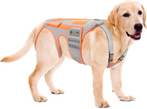 Vista 7 de Soporte de espalda para perro para artritis, soporte de cadera para perro para IVDD, arnés de soporte de marco para espalda, mantiene la espalda