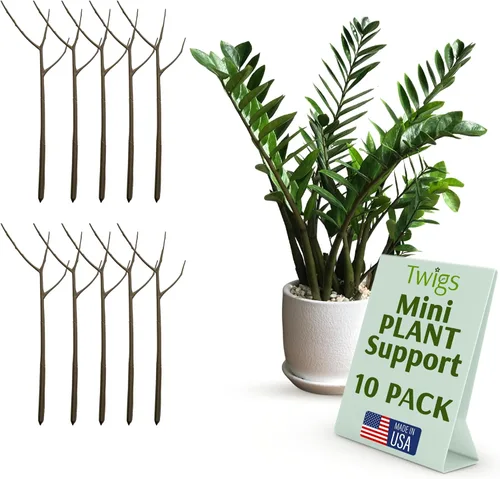 Vista 12 de Estacas de soporte para plantas para uso en interiores y exteriores, alternativa duradera de enrejado para plantas trepadoras y en maceta