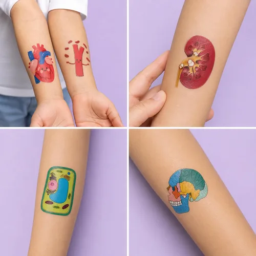 Vista 6 de 96 piezas divertidas de anatomía para niños, recuerdos de fiesta de cumpleaños – tatuajes temporales precortados Cute Human Body Parts, Brain &