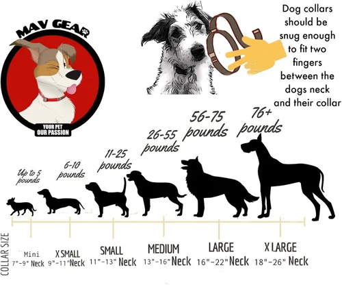 Vista 5 de Collar de perro impermeable, collar de perro ajustable, collar de cachorro, collares de perro de camuflaje, collar de perro de camping, collar