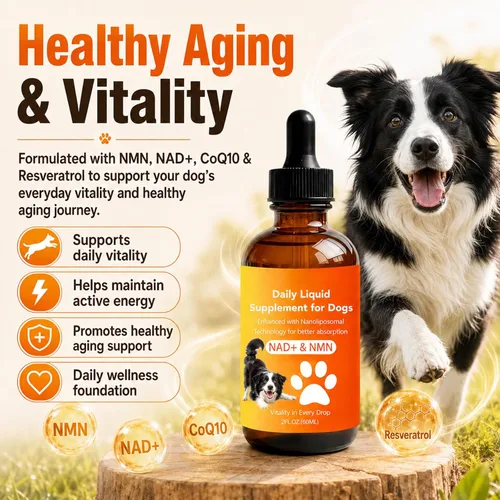 Vista 4 de Suplemento de longevidad para perros con NMN, NAD+, CoQ10 y resveratrol - Apoya la salud de las articulaciones, la vitalidad y el envejecimiento