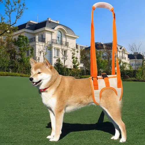 Vista 5 de Arnés de soporte para perros para patas traseras, arnés para perros pequeños, medianos y grandes, soporte para patas traseras, elevador de perros