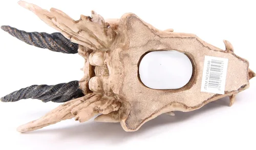Vista 5 de Puckator DRG186 Dragon Skull Money Box 19 x 11 x 11 cm, Mixed, Height 11cm Width 11cm Length 19cm Slot 3.5cm
