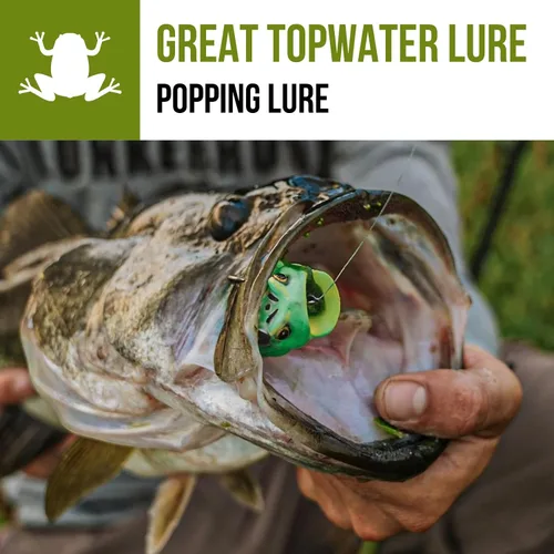 Vista 3 de Lunkerhunt Popping Frog - Señuelo de pesca Azul (Gill)