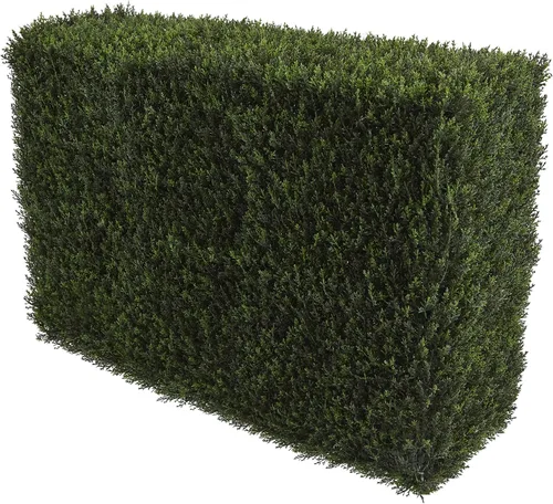 Vista 3 de Nearly Natural Seto decorativo de cedro artificial de 20 pulgadas (interior/exterior)