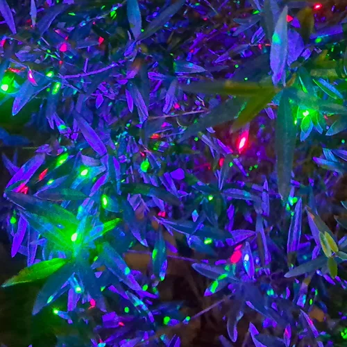 Vista 6 de Proyector de luces de jardín de Navidad con láser de luciérnaga