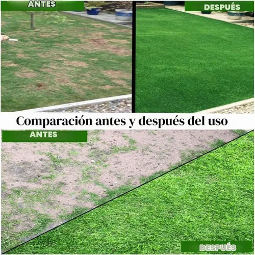 Vista 3 de Rollo de tapete de semillas de césped, tapete biodegradable para semillas de césped, manta de germinación de semillas de césped para cultivo