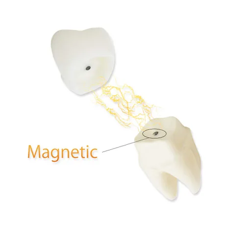 Vista 5 de Modelo de dientes dentales D-IP, modelo de dientes de implante dental transparente Dentista Enfermedad estándar Diente extraíble Modelo de enseñanza
