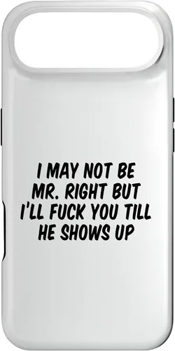 Vista 27 de I May Not Be Mr. Right But I’ll Fuck You Till He Shows Up Case for iPhone 17