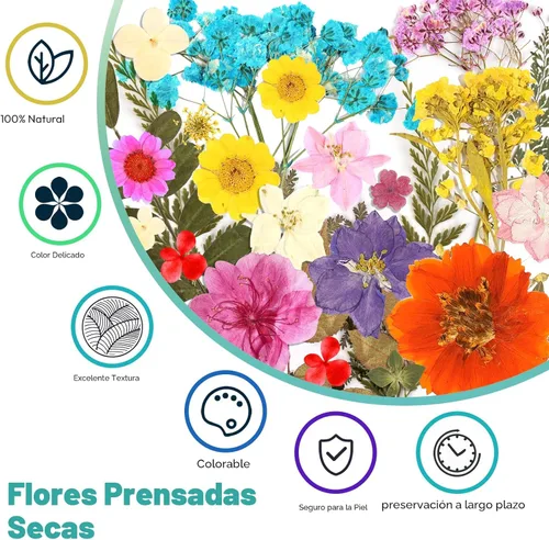 Vista 3 de Flores secas, 58 flores prensadas Resiners para manualidades Berry Red 58pcs