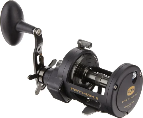 Vista 7 de Penn Fathom II Star Drag - Carrete de pesca convencional, oro negro, 25N