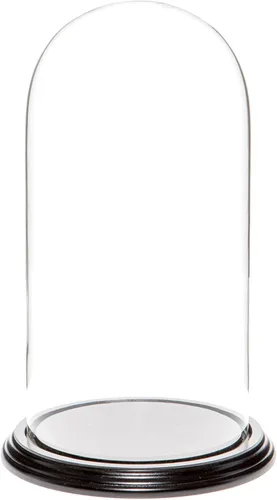 Vista 10 de Plymor Cúpula de cristal de 5.5" x 11" (base de madera MDF negra)