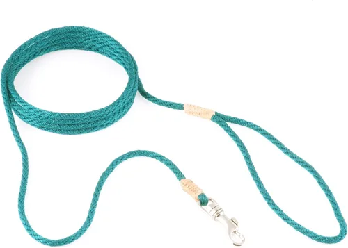 Vista 259 de Alvalley Correa para perros estilo broche – Correa de nailon estilo broche para perros – Fácil de manejar – Perfecto para perros pequeños, medianos