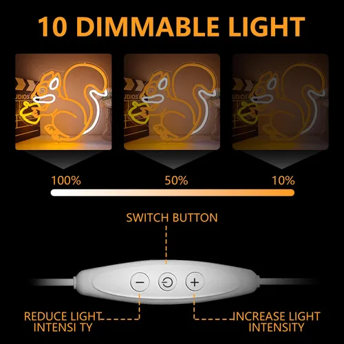 Vista 6 de Letrero de neón de ardilla para decoración de pared, ardilla sosteniendo un cono de pino, luz de neón regulable, lámpara LED naranja