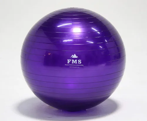 Vista 6 de FIM ISU 25.6 in Fitness Stability Ball • Yoga Balance Ball • Ejercicio Entrenamiento Bola INCLUYE Bomba de Pie