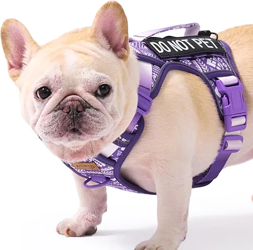 Vista 21 de Arnés para perro sin tirones para perros de tamaño pequeño, chaleco ajustable para caminar fácilmente, material Oxford transpirable, tiras Verde