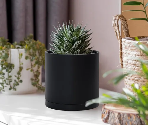 Vista 6 de D'vine Dev Paquete de 2 macetas de plástico modernas de 4 pulgadas, pequeñas macetas de jardín para plantas con agujeros de drenaje y platillos