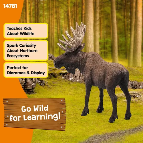 Vista 5 de Schleich Wild Life, figura de animal, juguetes de animales para niños y niñas de 3 a 8 años, toro alce, a partir de 3 años