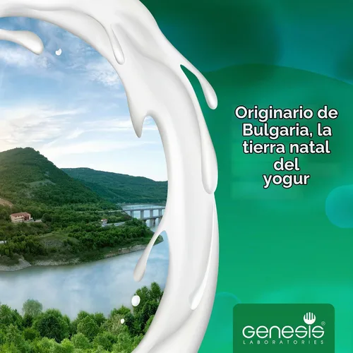 Vista 6 de Kéfir Starter Culture para Casa/Natural, Orgánico/ - 10 Cápsulas por 20 litros