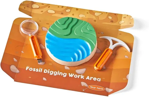 Vista 8 de hand2mind - Kit de excavación de fósiles para excavar y exhibir, vitrina de fósiles, 8 fósiles reales para descubrir, kits de excavación para niños