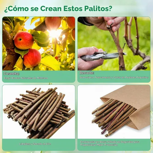 Vista 3 de Jorewood Palitos masticables de madera de manzana natural de 8.82 oz para conejos, hámsters, chinchillas, juguete para moler dientes extra duros