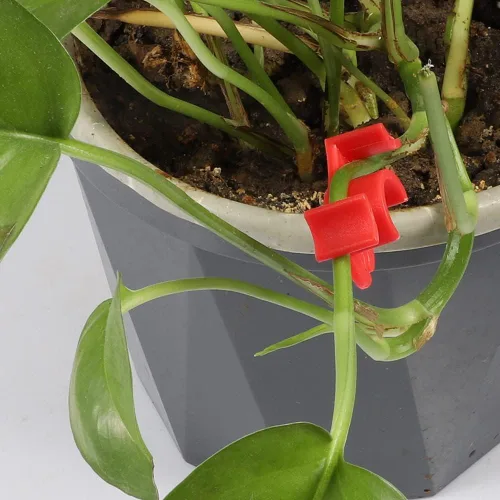 Vista 6 de LucyPhy Paquete de 30 dobladores de plantas con ángulos ajustables, clips de entrenamiento de plantas para entrenamiento de bajo estrés, 90 grados