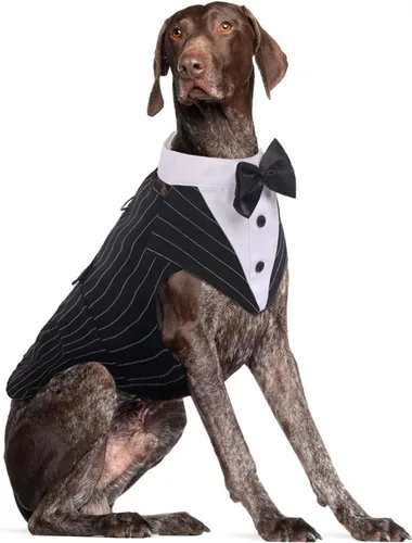 Vista 17 de DORA BRIDAL Esmoquin para perros pequeños, traje de perro y corbatín, traje formal de boda para perros, conjunto de esmoquin y bandana para Negro