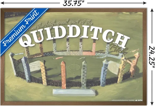 Vista 3 de Trends International El mundo mágico: Harry Potter - Póster de pared de Quidditch de testigo Versión con marco de bronce