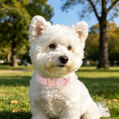 Vista 192 de Aring Pet Collar de algodón, ligero y ajustable, con hebilla de liberación rápida, para perros pequeños, medianos y grandes, para cachorros, S, Hoja