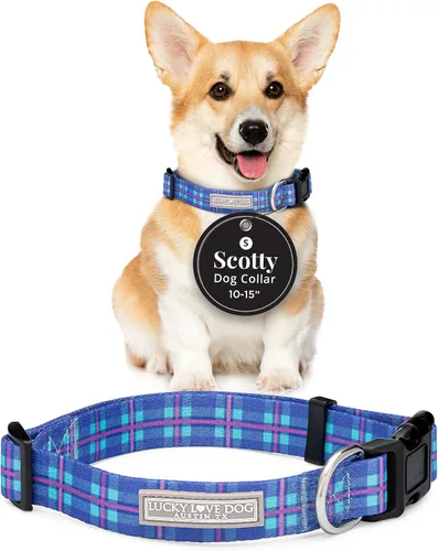 Vista 29 de Lucky Love Dog - Collar de perro ajustable con hebilla de fácil clic para los pequeños, duradero y cómodo para perros machos y hembras, collar