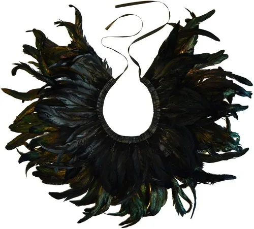 Vista 5 de L'VOW - Disfraz gótico de plumas negras para hombre