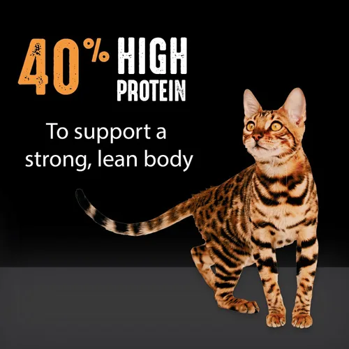 Vista 5 de Alimento seco para gatos CRAVE alto en proteína, sin cereales