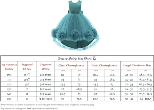 Vista 7 de Dressy Daisy Vestido de fiesta de boda para niñas pequeñas y pequeñas, para ocasiones especiales, vestido de fiesta de flores